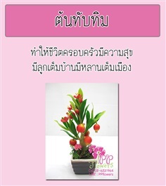 ต้นทับทิม | PP Flowers  - สัมพันธวงศ์ กรุงเทพมหานคร