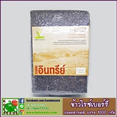 ข้าวไรซ์เบอร์รี่ ปลอดสารพิษ ปลูกแบบเกษตรอินทรีย์ราคาประหยัด 