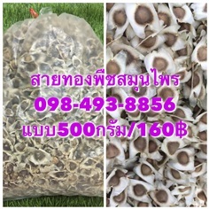 เม็ดมะรุมแห้งแบบ 500กรัม ราคา160฿