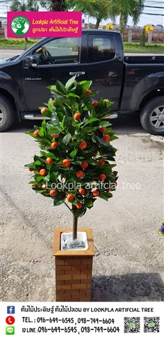 ต้นส้มจิ๊ดปลอม #ต้นไม้มงคล | Lookpla Artificial Tree - จตุจักร กรุงเทพมหานคร