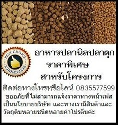 อาหารปลาสำหรับโครงการ หรืองานประมูล เกรดคุณภาพ ราคาถูก