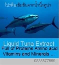 Liquid tuna extract