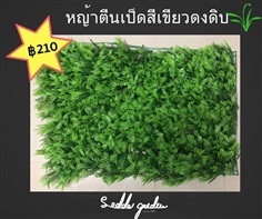 หญ้าตีนเป็ดสีเขียวดงดิบ | laddagarden - ลาดหลุมแก้ว ปทุมธานี