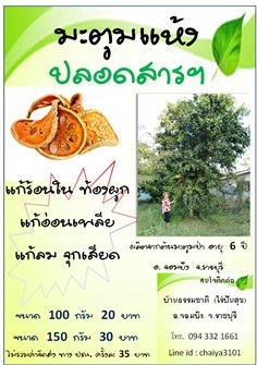 มะตูมแห้ง | บ้านธรรมชาติ (ไร่ปันสุข) - จอมบึง ราชบุรี