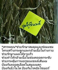 หญ้ารีแพร์