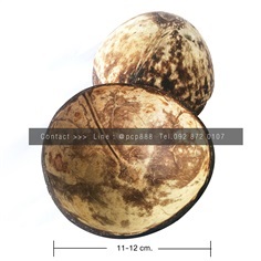 กระทงกะลา กะลามะพร้าว  PCP Coconut | Pcp  coconut - ทับสะแก ประจวบคีรีขันธ์