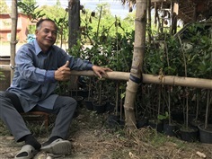 กิ่งพันธุมะนาว  | ลุงร่ามฟาร์ม - สองพี่น้อง สุพรรณบุรี