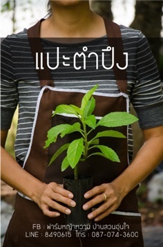 แปะตำปึง