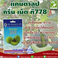 แคนตาลูป กรีน เน็ต ที778