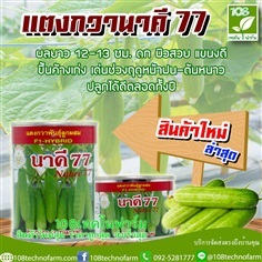 แตงกวานาคี 77 | 108เทคโนฟาร์ม - มหาราช พระนครศรีอยุธยา