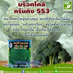 บร็อคโคลี่กรีนคิง 553