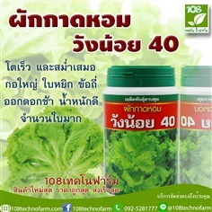 ผักกาดหอมวังน้อย 40