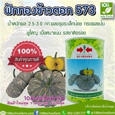 ฟักทองข้าวตอก 573