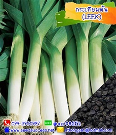 กระเทียมต้น (Leek) / 150 เมล็ด