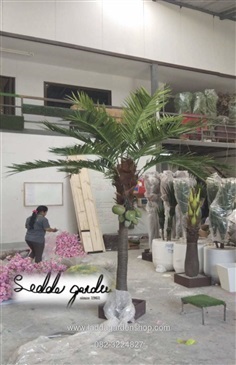 ต้นมะพร้าวปลอม | laddagarden - ลาดหลุมแก้ว ปทุมธานี