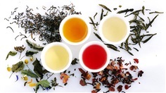 ชาอู่หลงใบอบแห้ง "The original Oolong Leaves" ชาสำหรับเบลนด์ | Health Herb Thailand -  เชียงใหม่