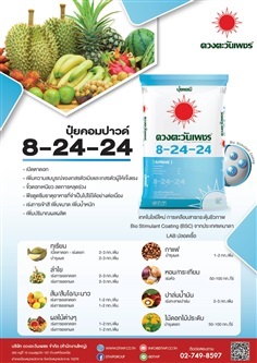 ปุ๋ยคอมปาวด์สูตร 8-24-24