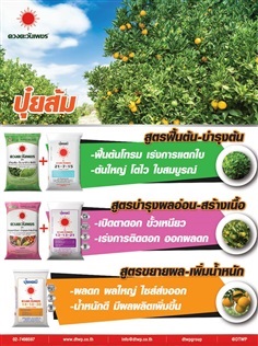 ปุ๋ยส้ม | ปุ๋ยดวงตะวันเพชร - เมืองสมุทรปราการ สมุทรปราการ