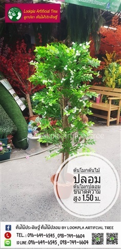 ต้นโมกปลอม ต้นดอกแก้วต้นไม้ปลอม | Lookpla Artificial Tree - จตุจักร กรุงเทพมหานคร