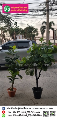 ต้นไทรใบสักต้นไม้ปลอม ต้นไทรใบสักต้นไม้เทียม | Lookpla Artificial Tree - จตุจักร กรุงเทพมหานคร