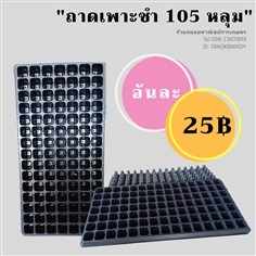 ถาดเพาะชำ ขนาด 105 หลุม