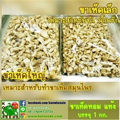 ขายขาเห็ดหอมแห้ง เกรดA สำหรับทำน้ำพริก หรือ ทำขาเห็ดสมุนไพร  | แก้วเกษตร - คลองหลวง ปทุมธานี