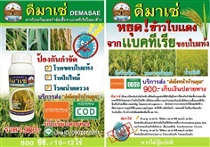 ดีมาเซ่ สารกำจัดโรคเชื้อราเเบคทีเรียในนาข้าว | ดีมาเซ่  -  นครราชสีมา