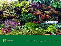 รับทำบ่อปลาคาร์ฟ รับจัดสวนครบวงจร | ก้องเกียรติ รับจัดสวนครบวงจร  - บ้านแพ้ว สมุทรสาคร