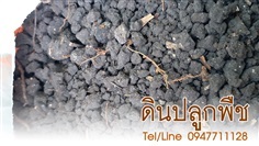 ขายดินปลูกพืช ราคาถูก จัดส่งทั่วประเทศ