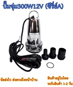 ปั๊มจุ่ม 300W 12V 