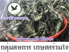 หญ้าหวานแห้งปลีก-ส่ง | สวนราชินี จ.กำแพงเพชร -  กำแพงเพชร