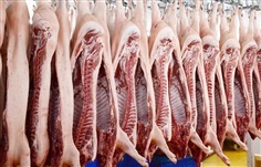 จำหน่ายหมูสดราคาถูก บริการตัดแต่งตามออเดอร์ จัดส่งทั่วประเทศ | เฮียหนุ่ย หมูสด - เมืองนครปฐม นครปฐม