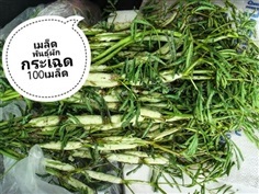 เมล็ดพันธุ์ผักกระเฉด ซื้อ3แถม1คละได้ 