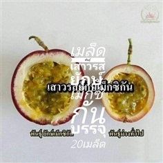 เมล็ดพันธุ์เสาวรสยักษ์เม็กซิกัน ซื้อ3แถม1