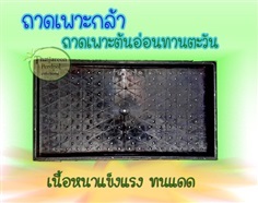 ถาดเพา่ะต้นอ่อน ถาดเพาะต้นกล้า ถาดเพาะทานตะวัน เนื้อหนา | ร้านไทยเจริญพืชผล ปากช่อง - ปากช่อง นครราชสีมา