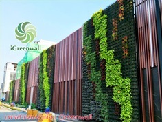 สวนแนวตั้งiGreenwall