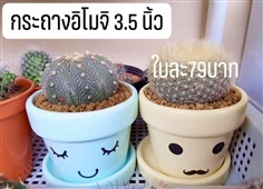 กระถาง อิโมจิ 3.5นิ้ว