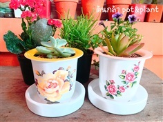 กระถางต้นไม้ ปากแตร ลายวินเทจ 3.5นิ้ว | ต้นกล้า pot&plant -  กรุงเทพมหานคร