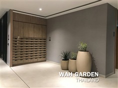 กระถางปูนซิเมนต์โมเดิร์น | Modern Cement Planter