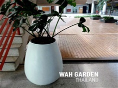 กระถางปูนซิเมนต์ 'โมโม่' | 'mOmO' Cement Planter