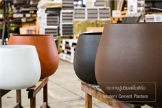 กระถางปูนซิเมนต์โมเดิร์น | Modern Cement Planters