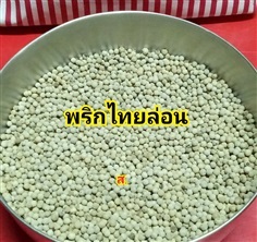 พริกไทยล่อน