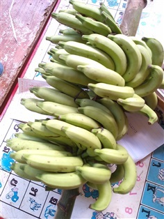 หน่อกล้วยป่า