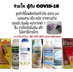 เราไม่ทิ้งกัน แจกหน้ากากผ้าฟรี 1ชิ้น ร่วมใจสู้ภัย COVID-19  | ปุ๋ย ยา การันตี - วัฒนา กรุงเทพมหานคร