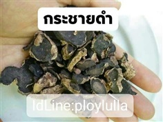 กระชายดำ อบแห้ง (โสมไทย)