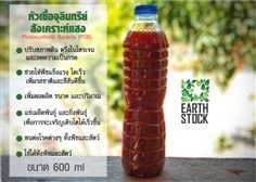 หัวเชื้อจุลินทรีย์สังเคราะห์แสง