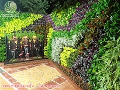 สวนแนวตั้งiGreenwall