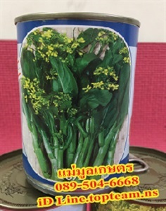 กวางตุ้งฮ่องกง