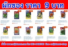 เมล็ดพันธุ์ผักชนิดซอง  ราคา 9 บาท | เมล็ดถั่วเขียว อุบลราชธานี - เมืองอุบลราชธานี อุบลราชธานี