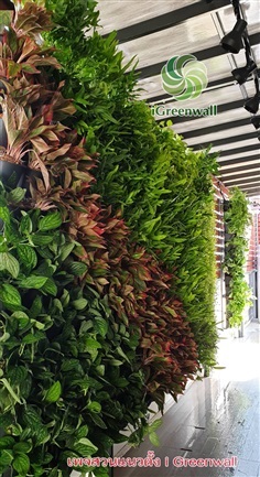 สวนแนวตั้งiGreenwall | สวนแนวต้้ง iGreenwall - ทุ่งครุ กรุงเทพมหานคร